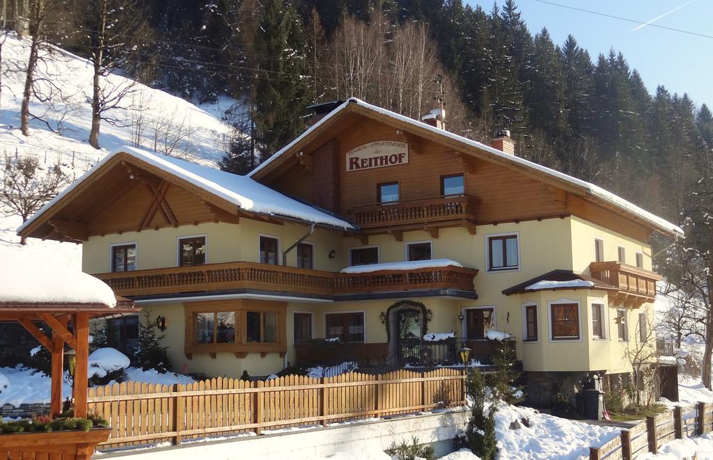 Pension Appartements Reithof ザンクト・ヨーハン・イム・ポンガウ エクステリア 写真